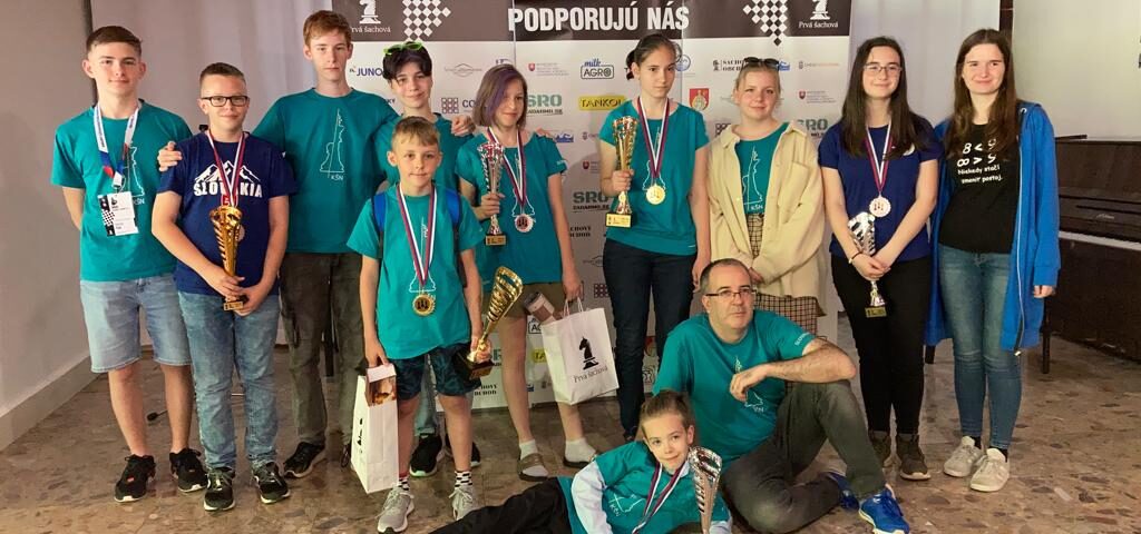 MSR 2022 Interchess